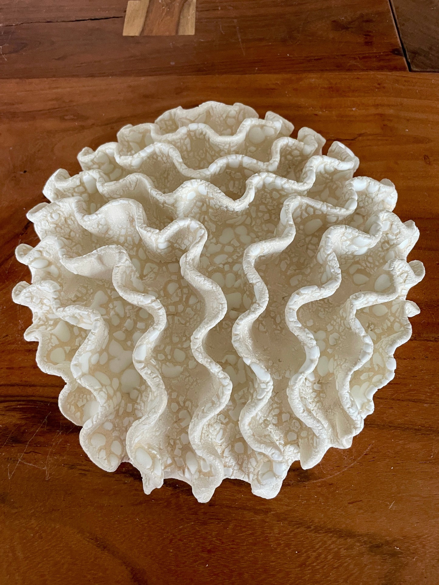 Wall coral 04387