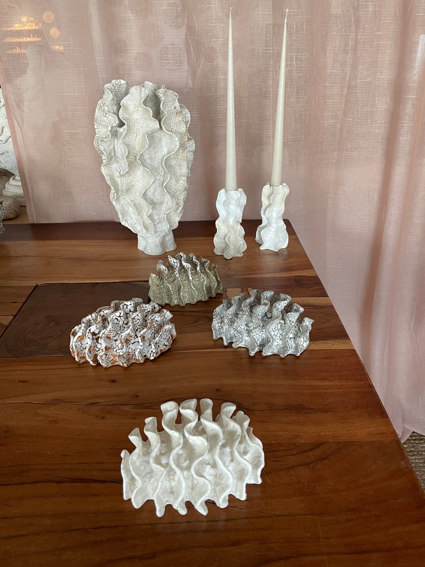 NEWS Wall coral 04377