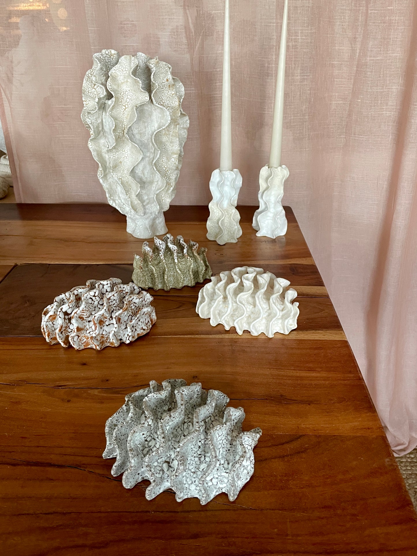 NEWS Wall coral 04378