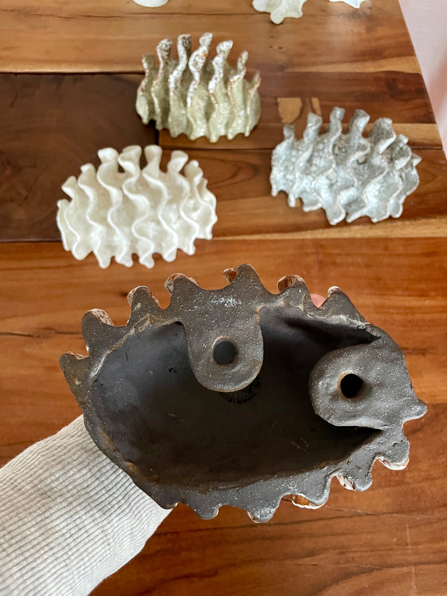 NEWS Wall coral 04381