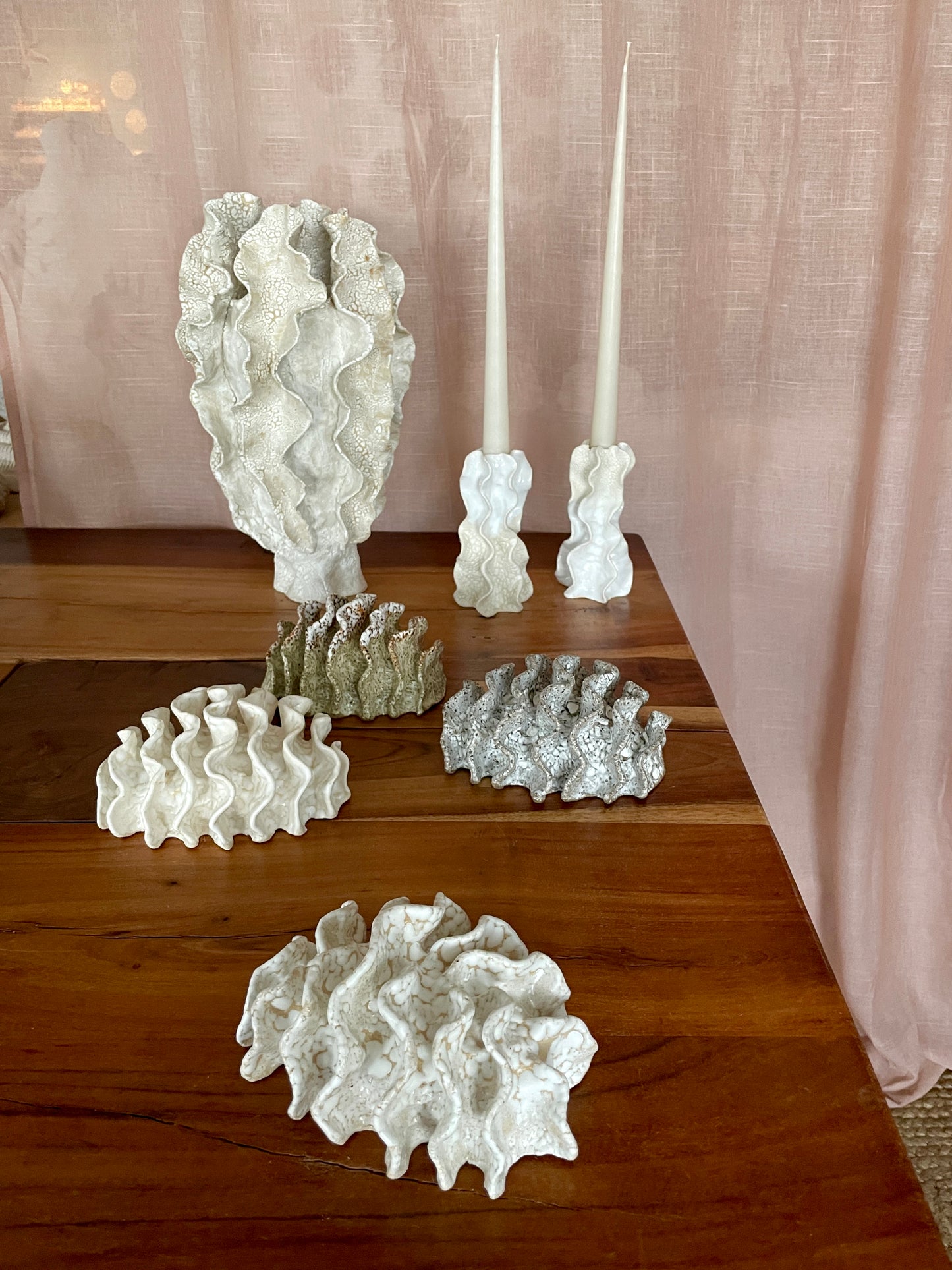 NEWS Wall coral 04379