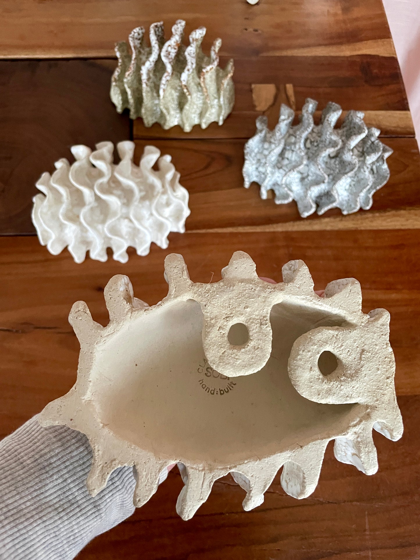 NEWS Wall coral 04379