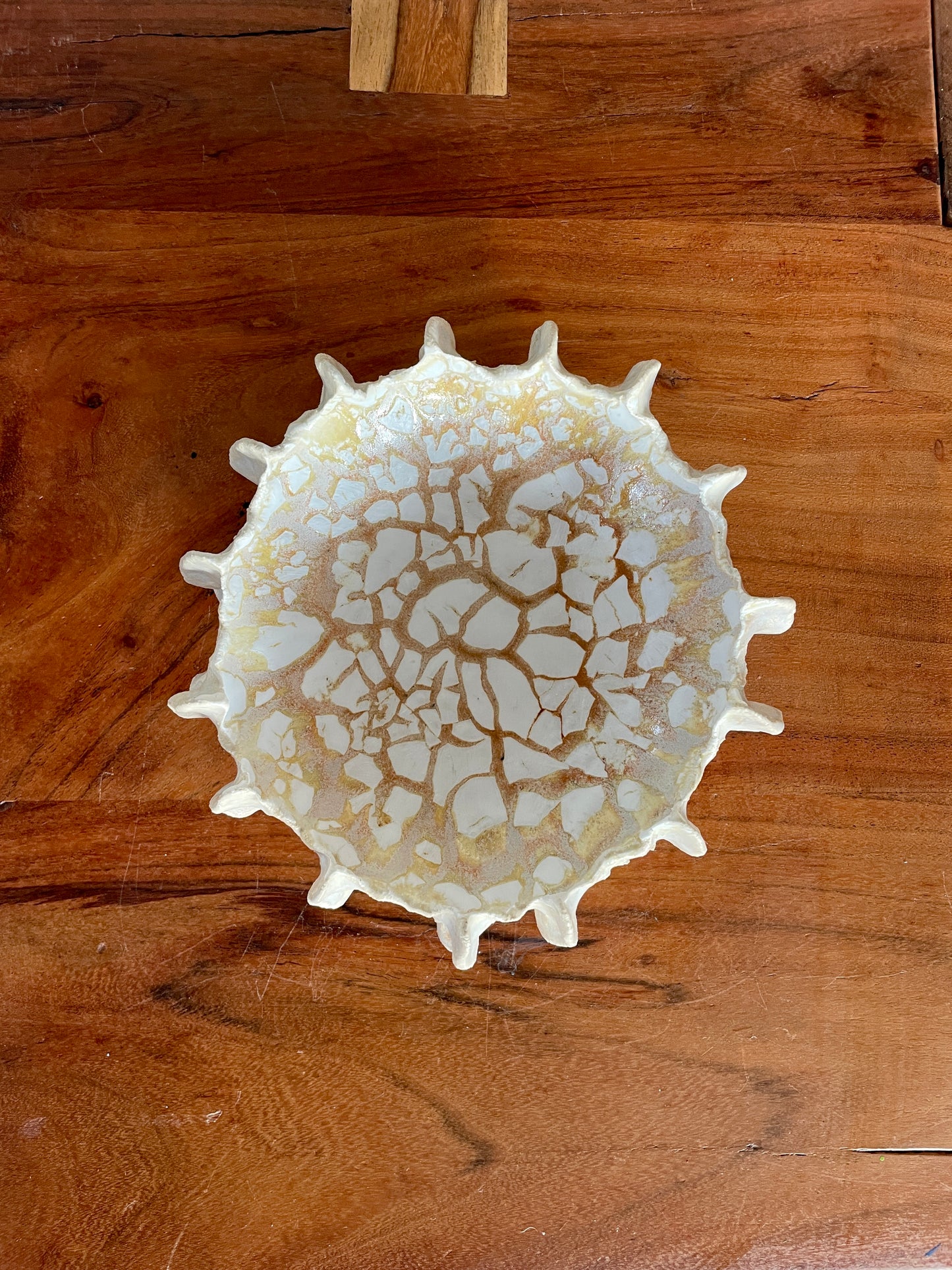 NEWS Kridthavs bowl 0384