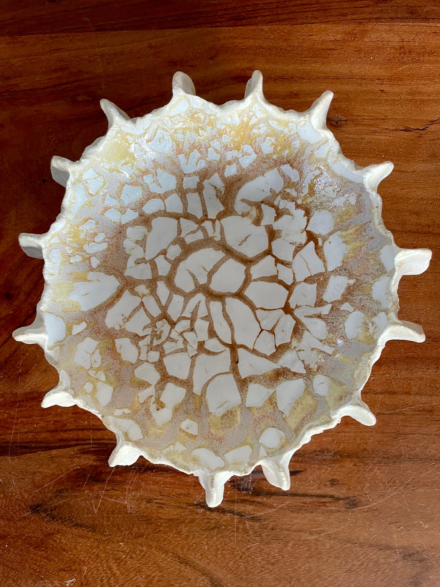 NEWS Kridthavs bowl 0384