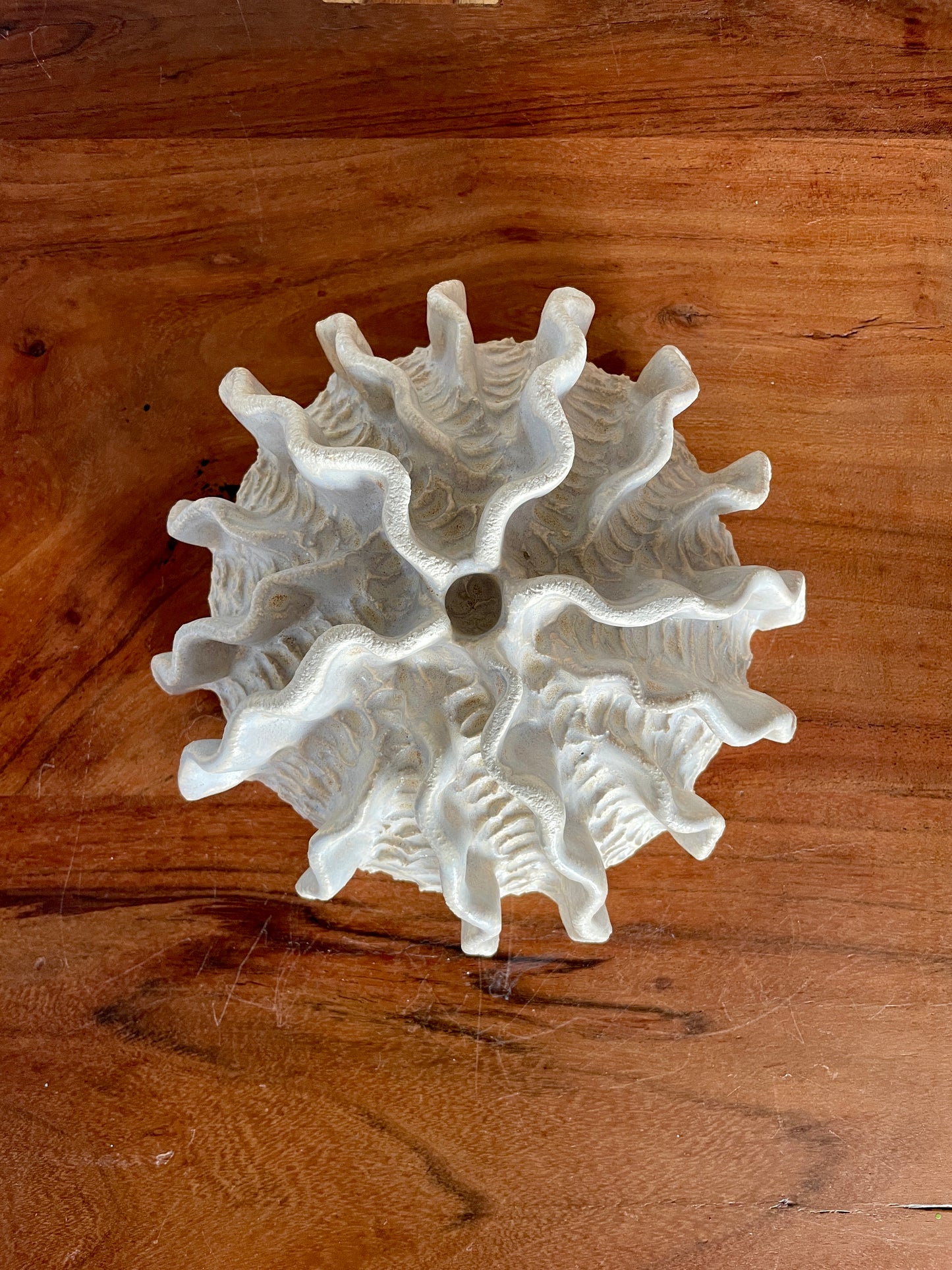 NEWS Kridthavs bowl 0384