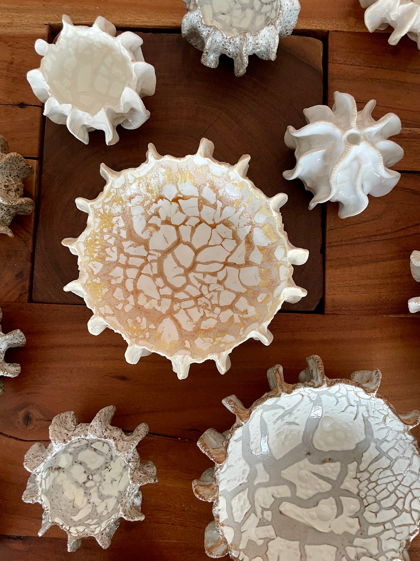 NEWS Kridthavs bowl 0384