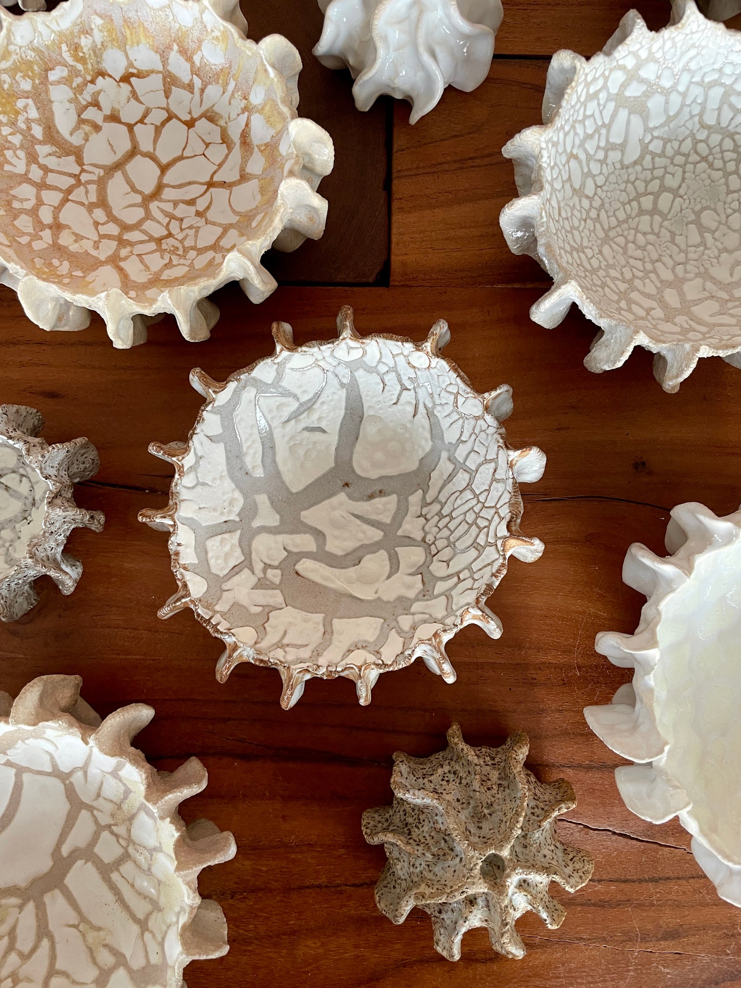 NYHEDER Kridthavs skål 0388