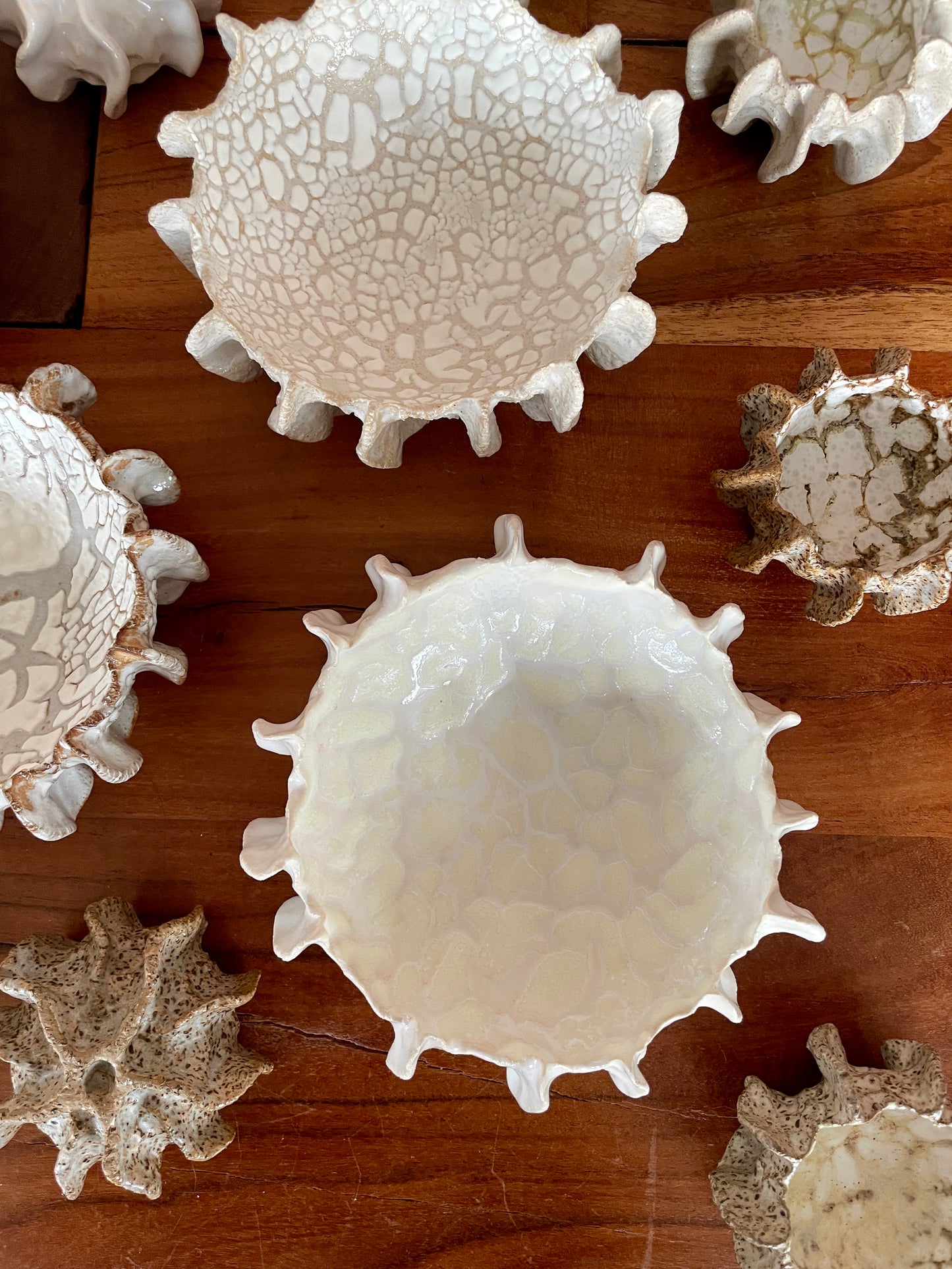 NEWS Kridthavs skål 0386