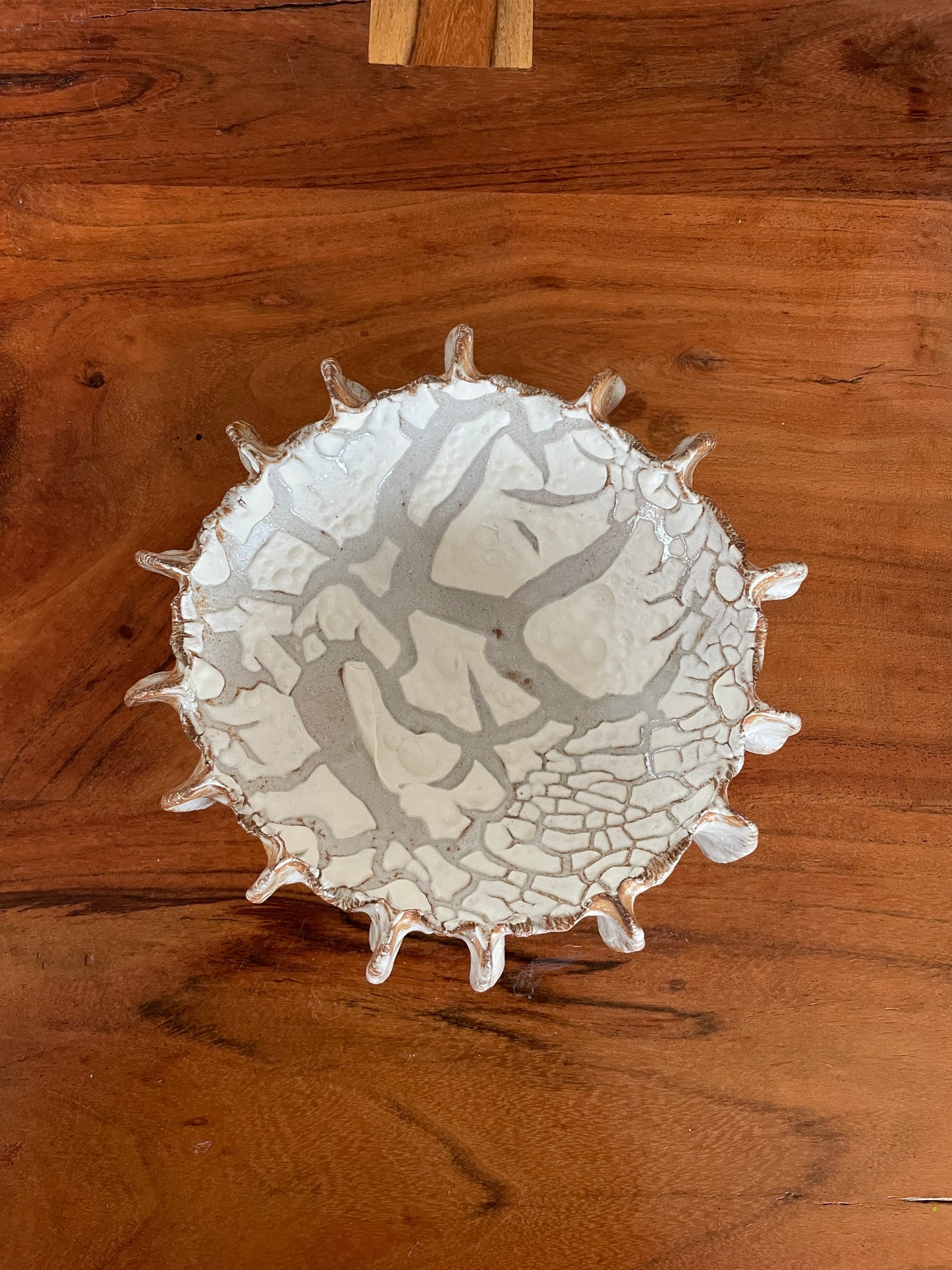 NYHEDER Kridthavs skål 0388