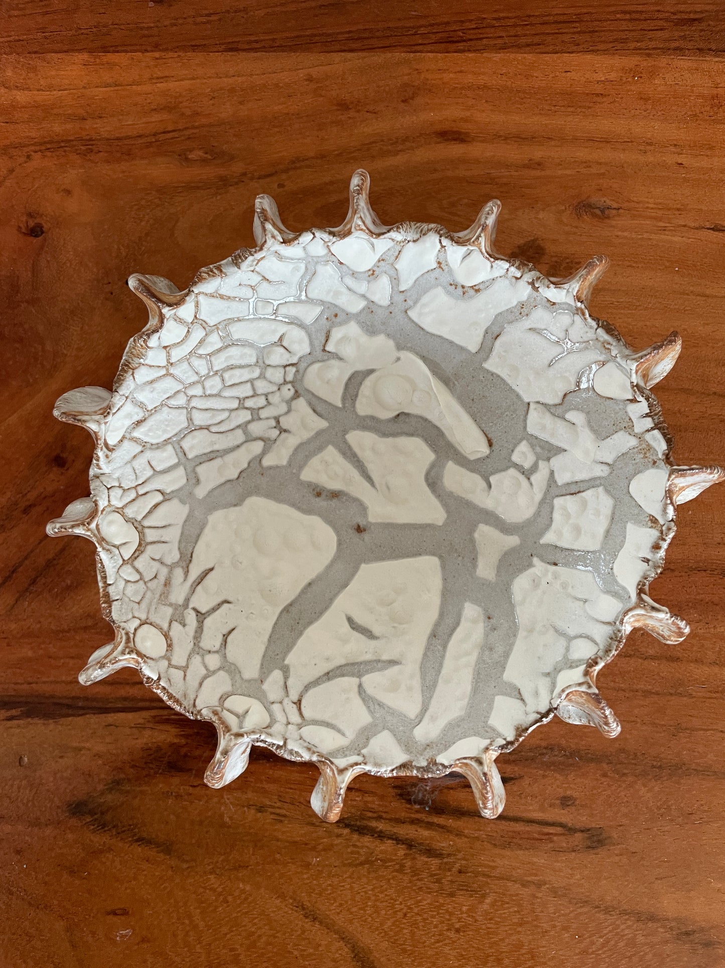 NYHEDER Kridthavs skål 0388