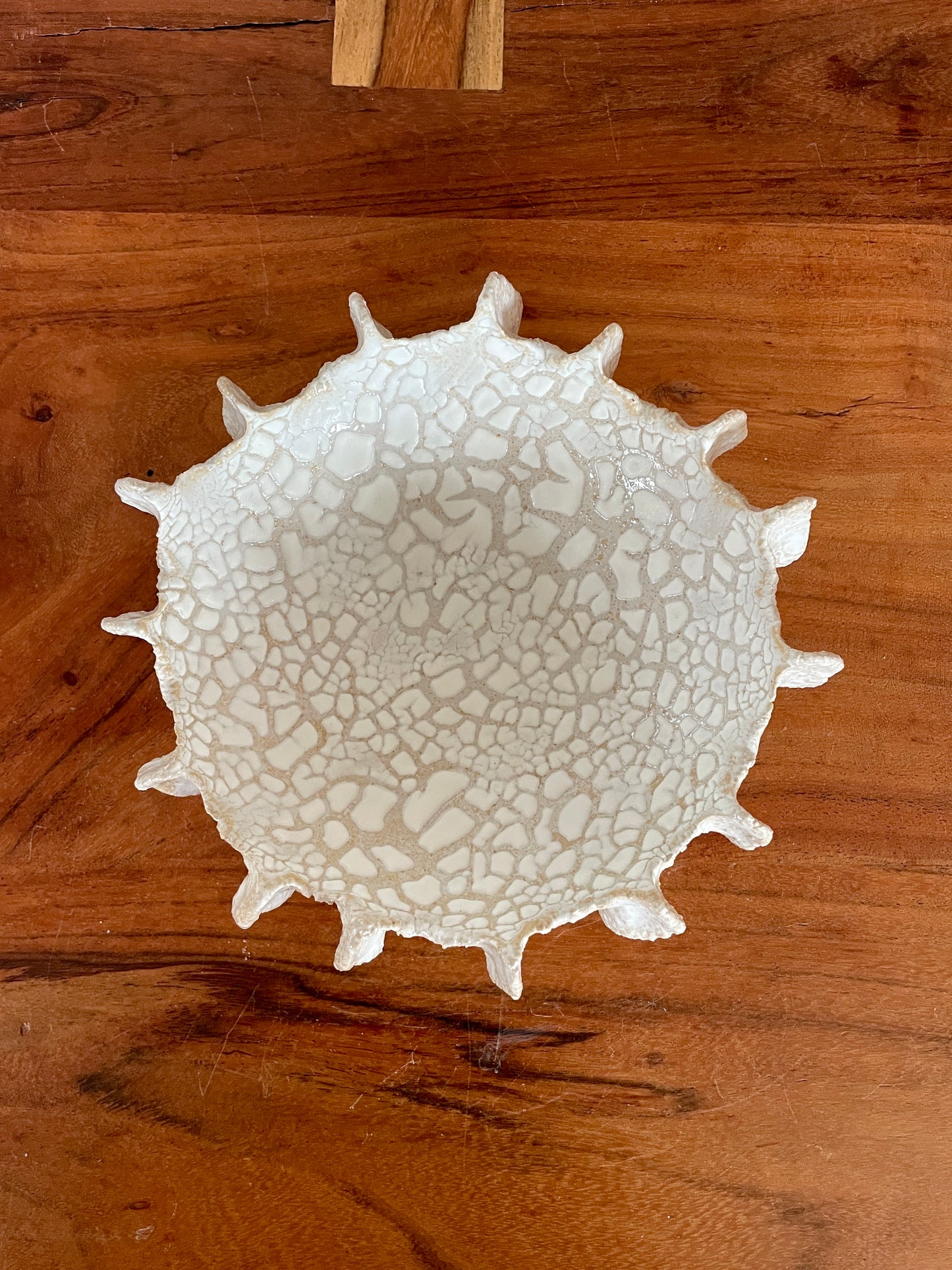 NEWS Kridthavs skål 0387