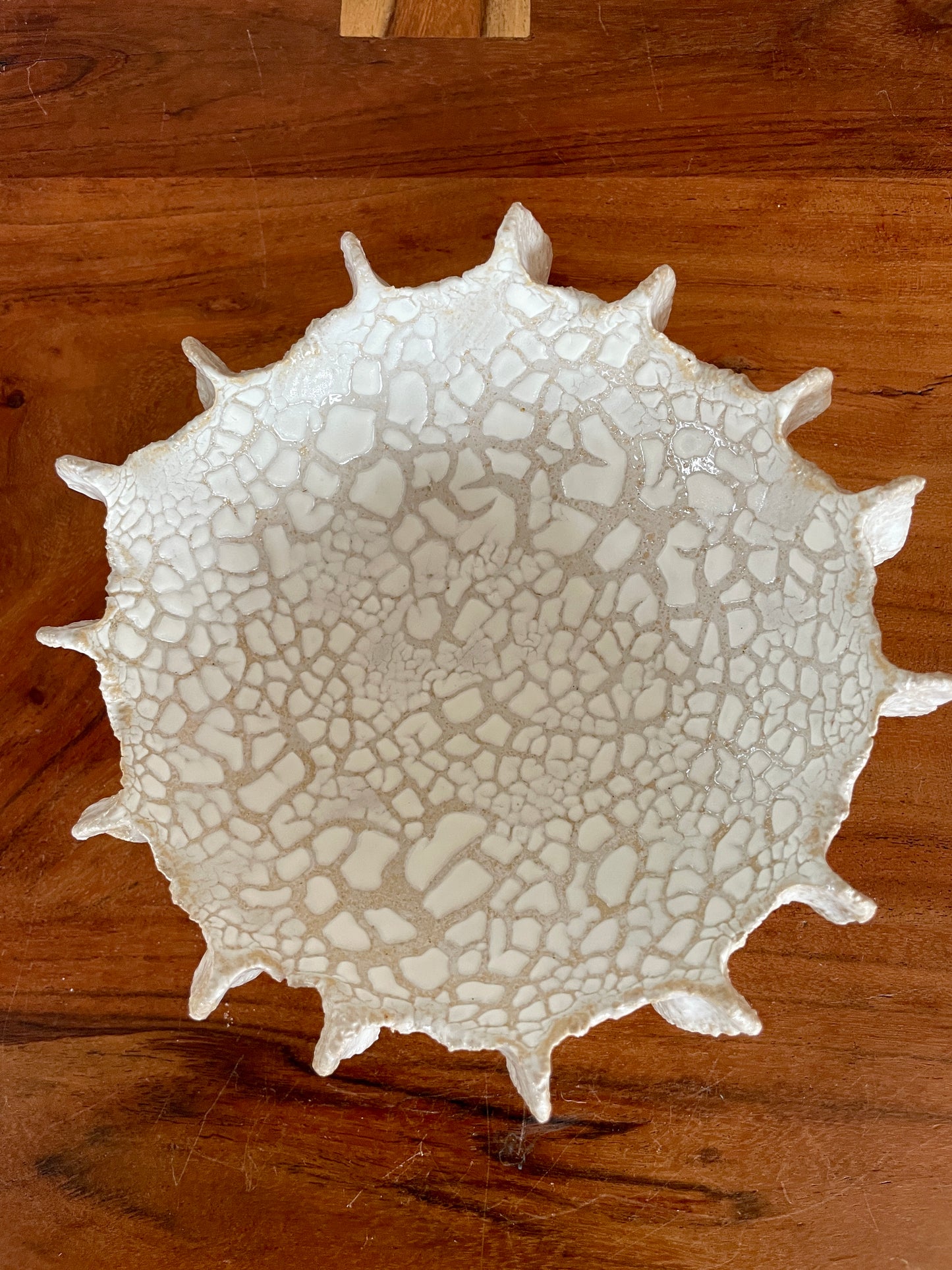 NEWS Kridthavs skål 0387