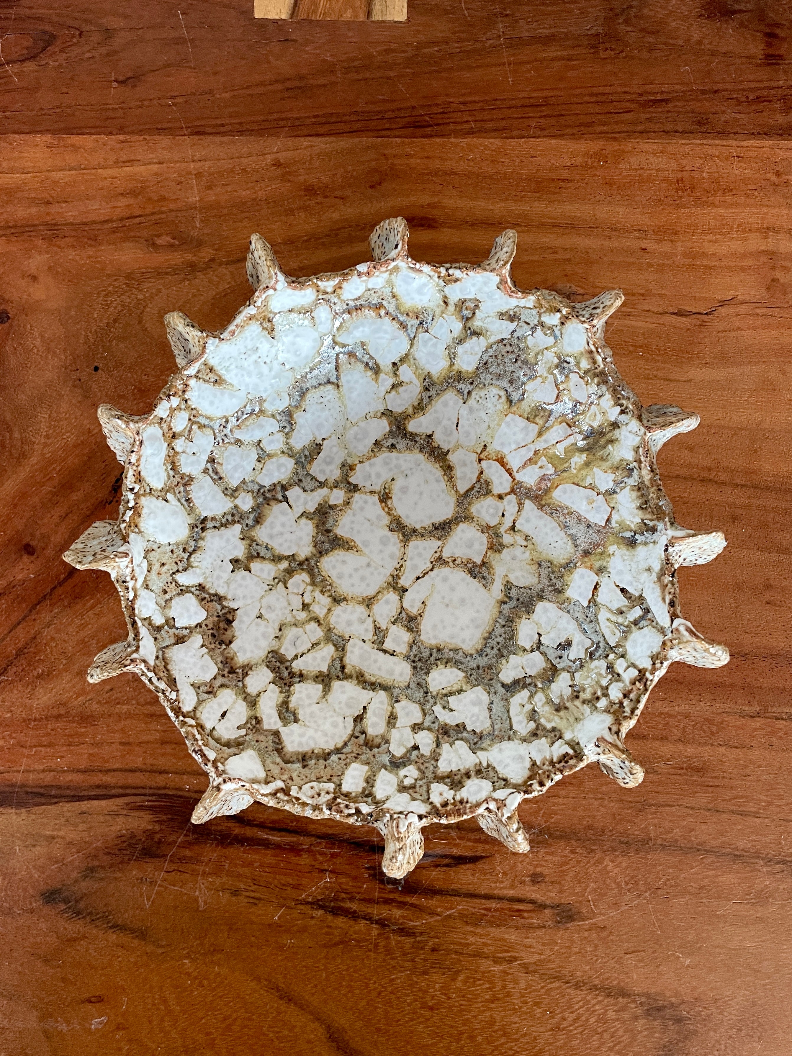 NEWS Kridthavs bowl 0385