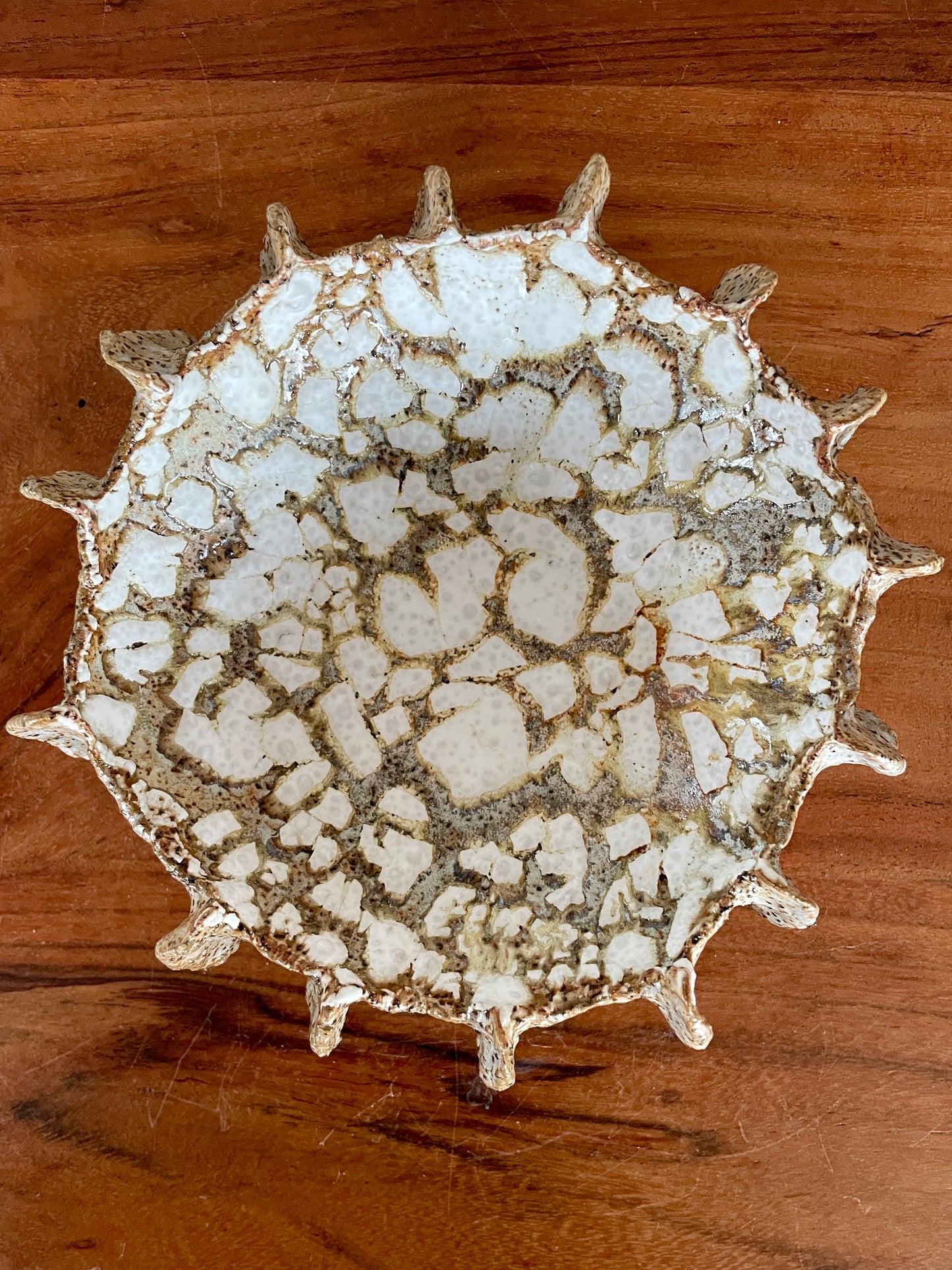 NEWS Kridthavs bowl 0385