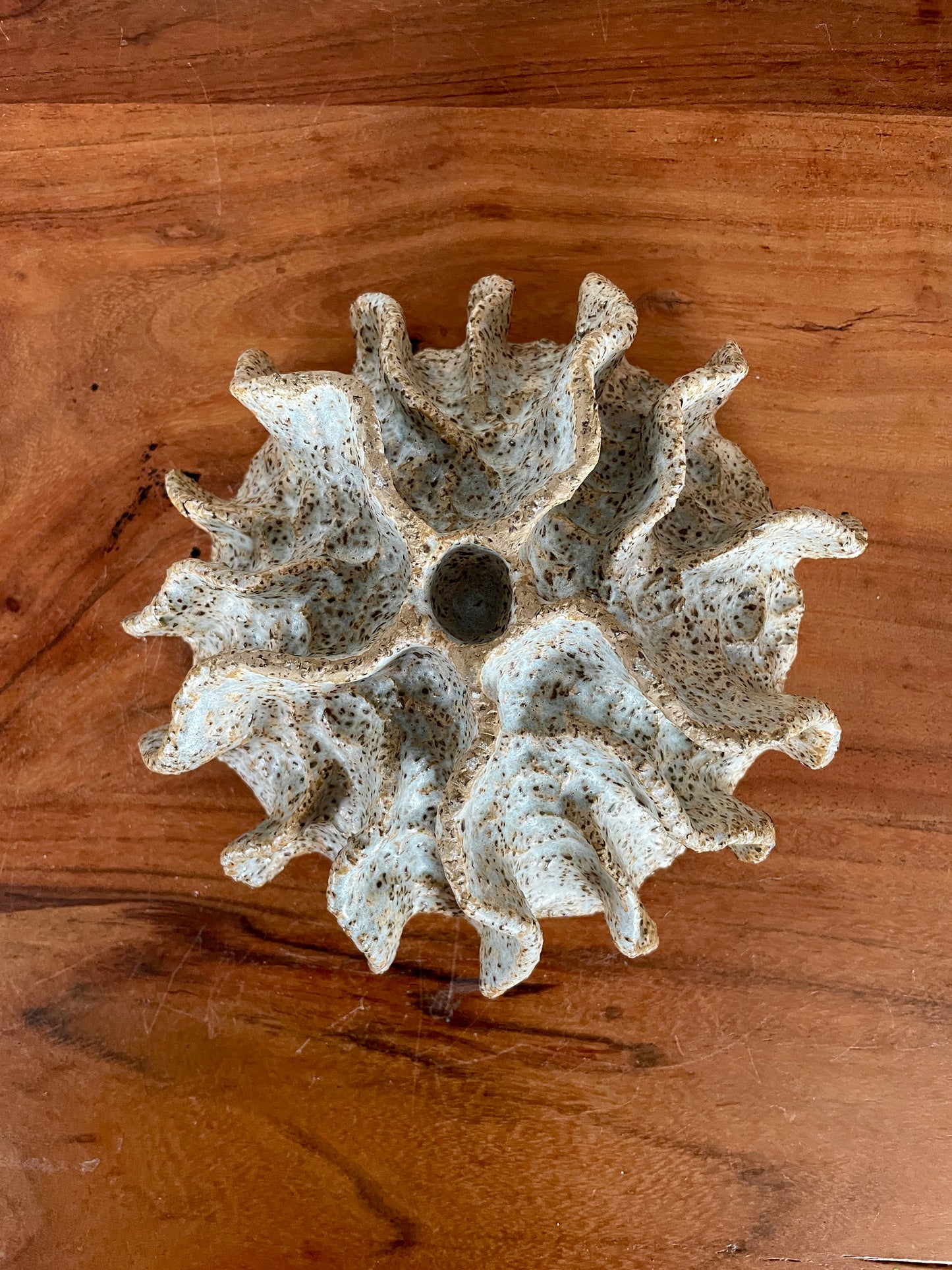 NEWS Kridthavs bowl 0385