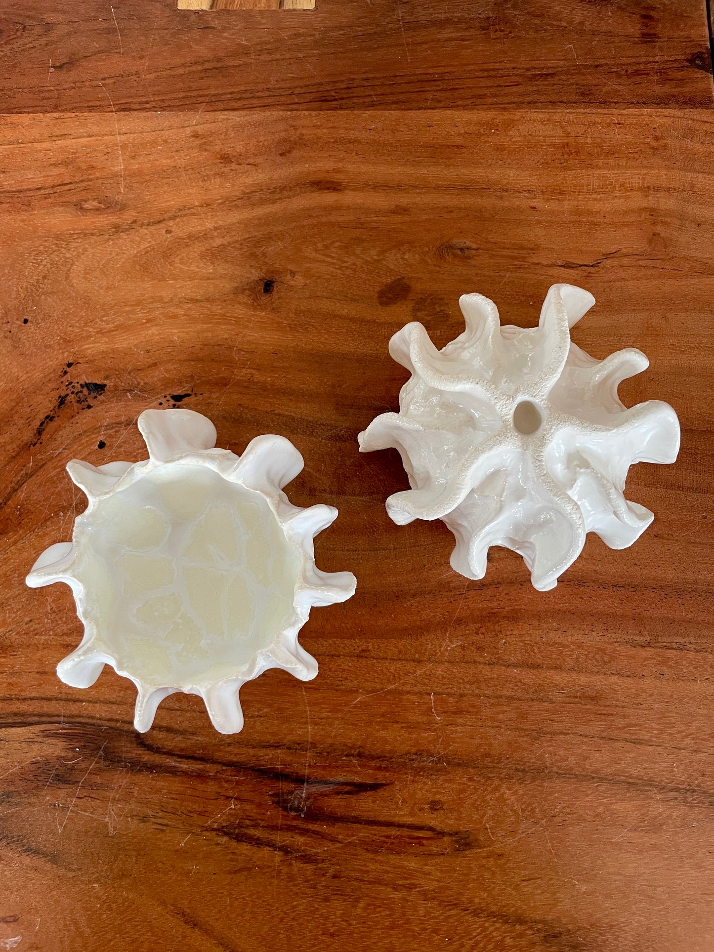 NYHEDER Kridthavs skåle 0389