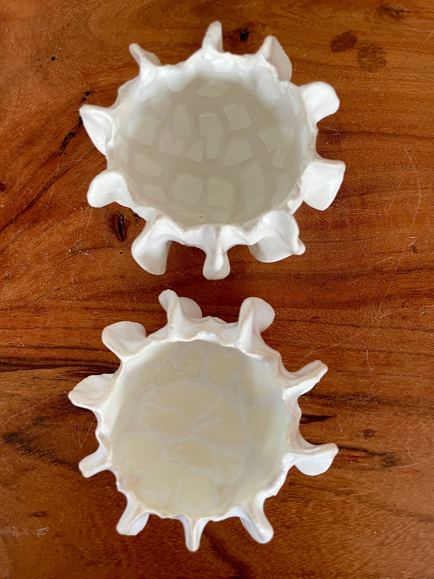 NYHEDER Kridthavs skåle 0389