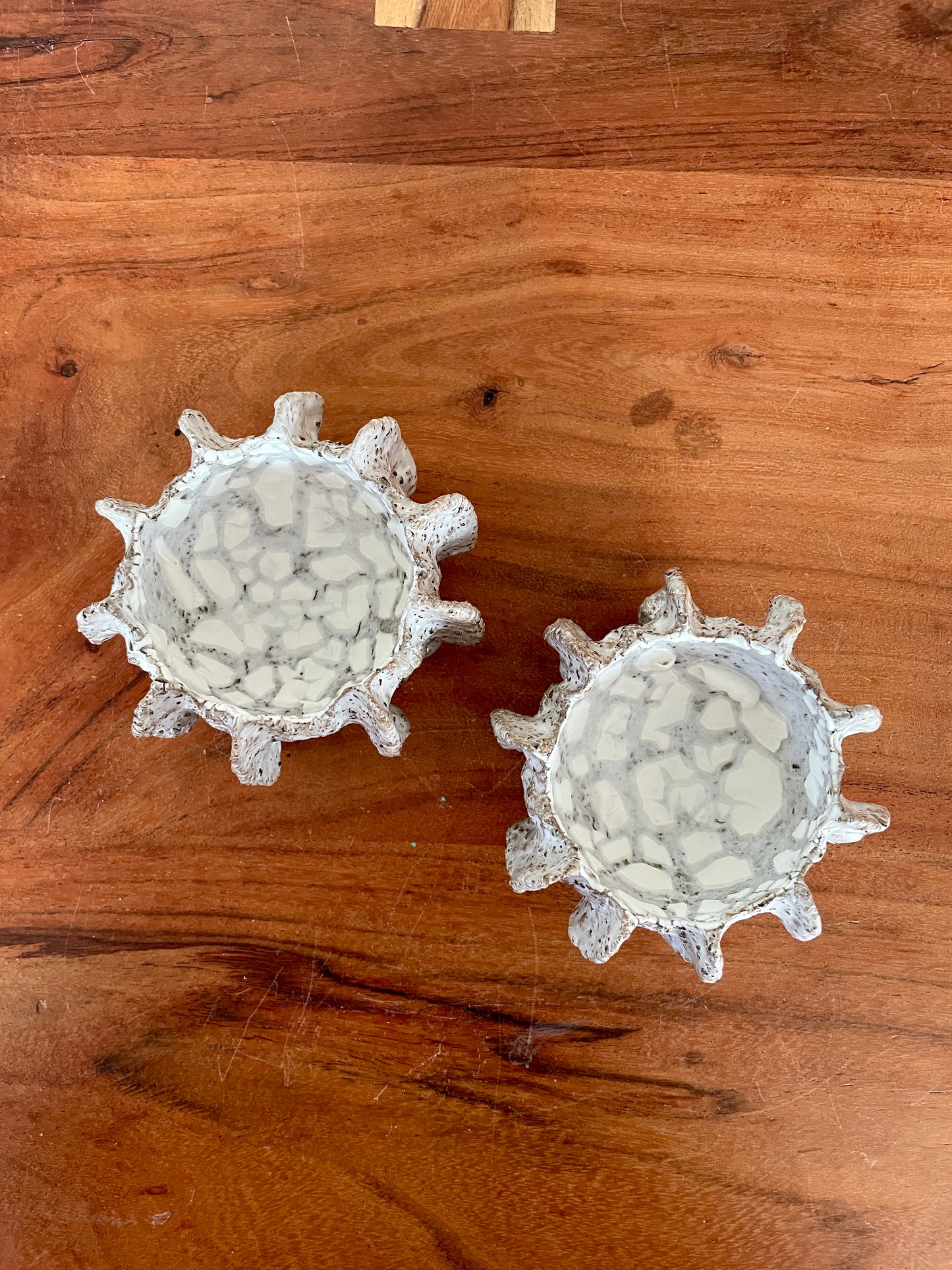 NYHEDER Kridthavs skåle 0390