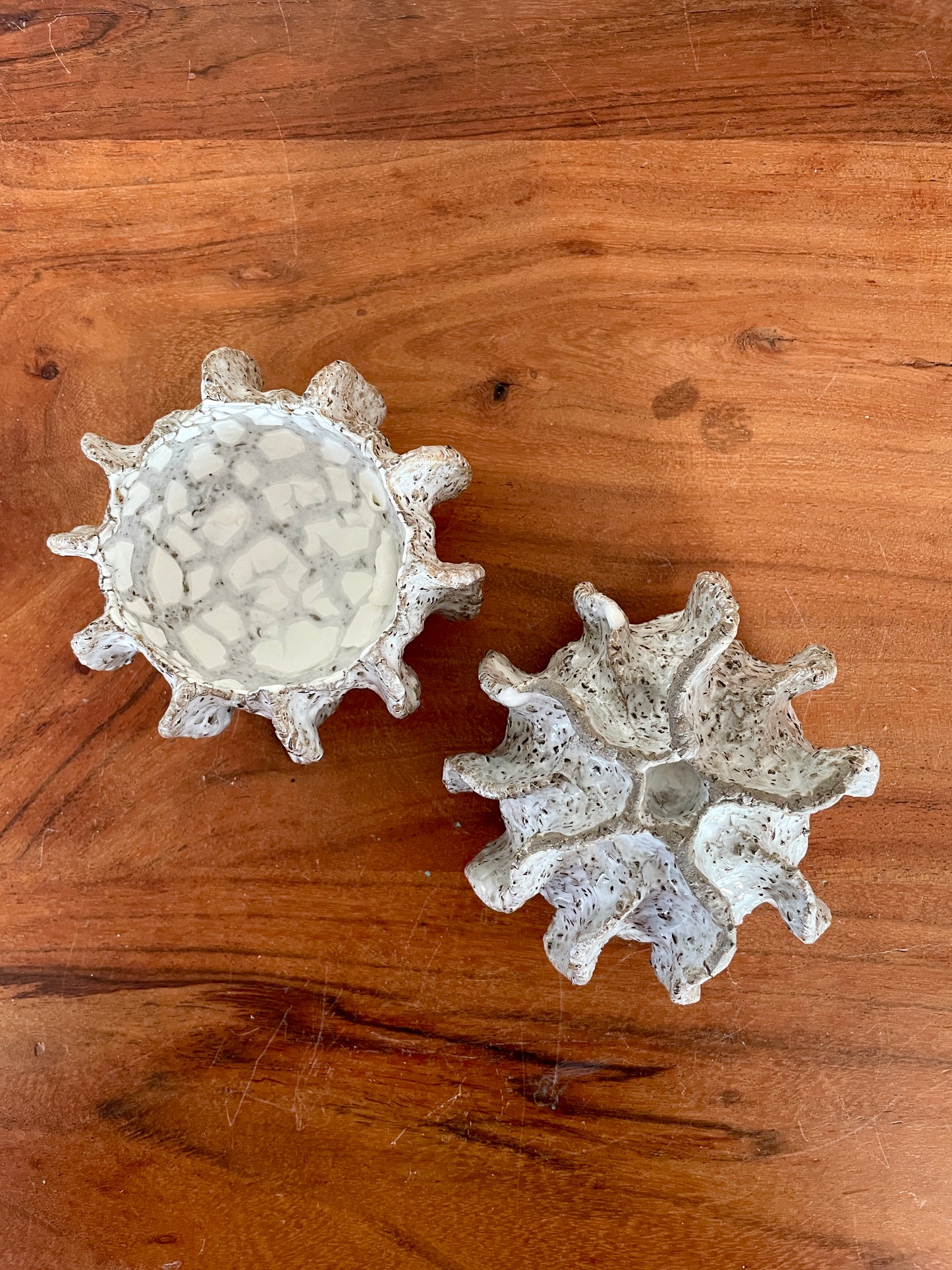 NYHEDER Kridthavs skåle 0390