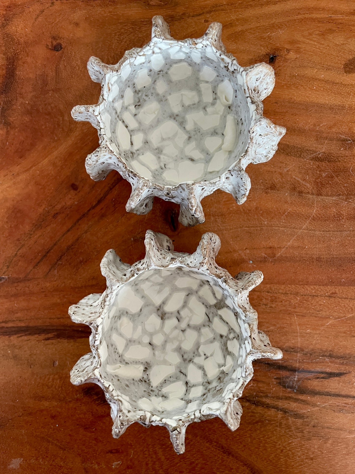 NYHEDER Kridthavs skåle 0390