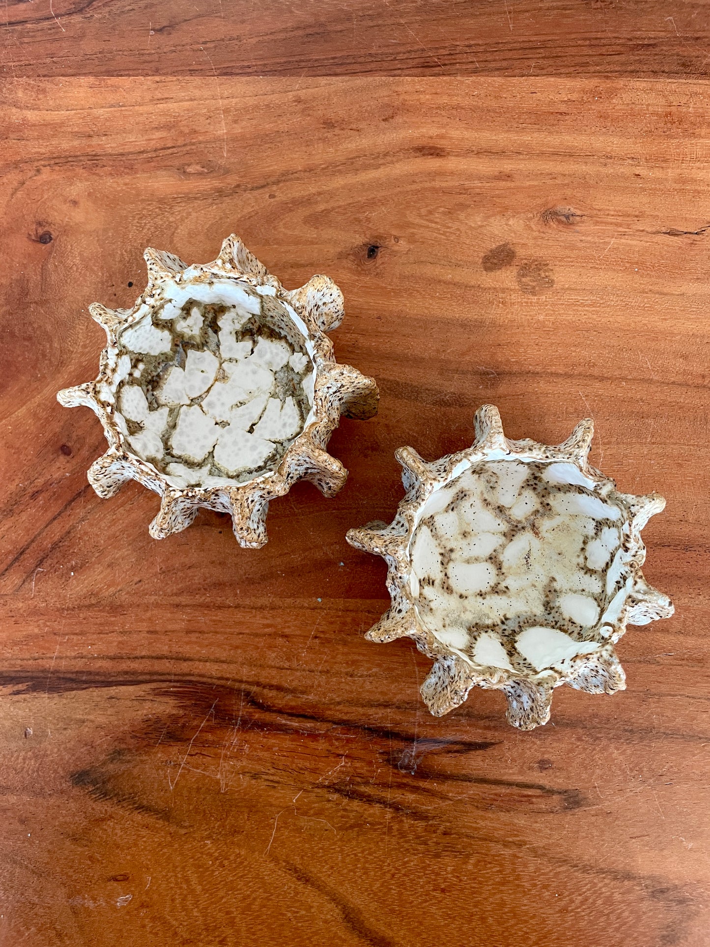 Nyheder Kridthavs skåle 0391