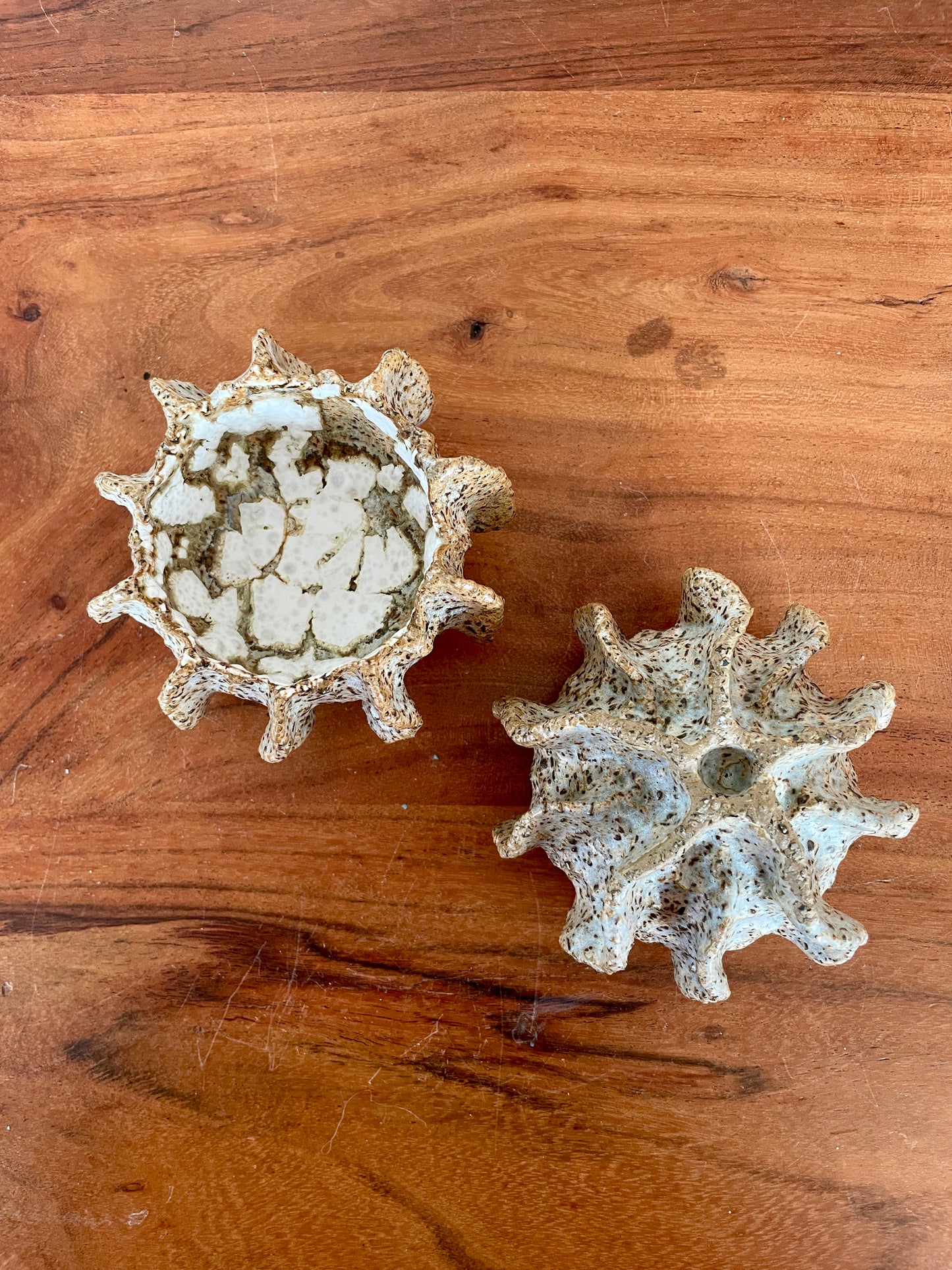 Nyheder Kridthavs skåle 0391