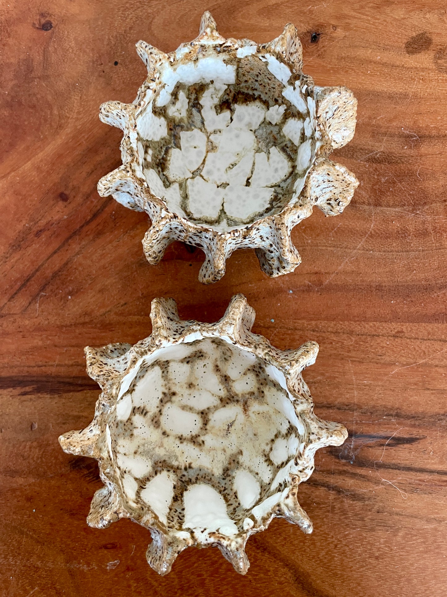 Nyheder Kridthavs skåle 0391