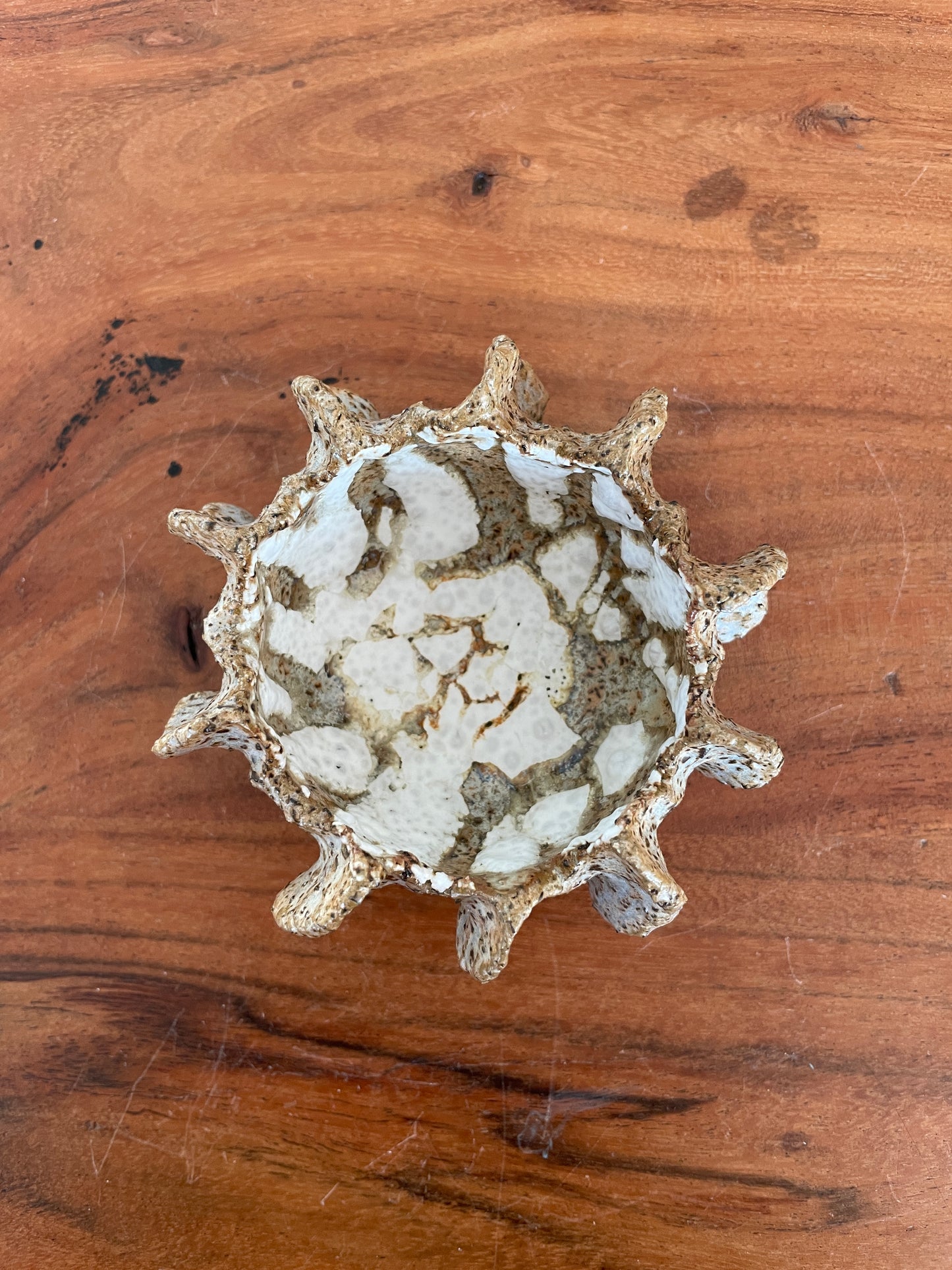 NYHEDER Kridthavs skål 0392