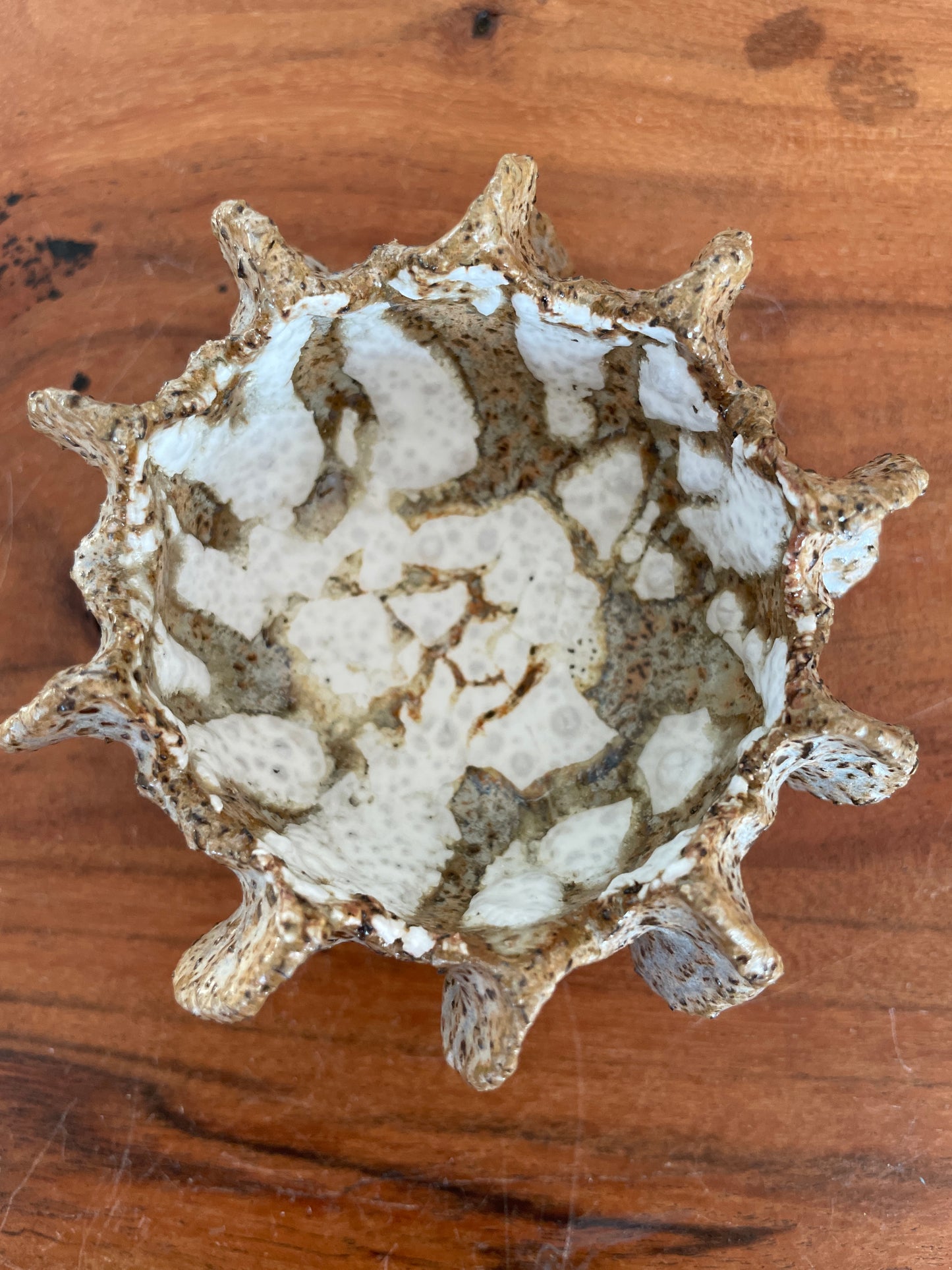 NYHEDER Kridthavs skål 0392