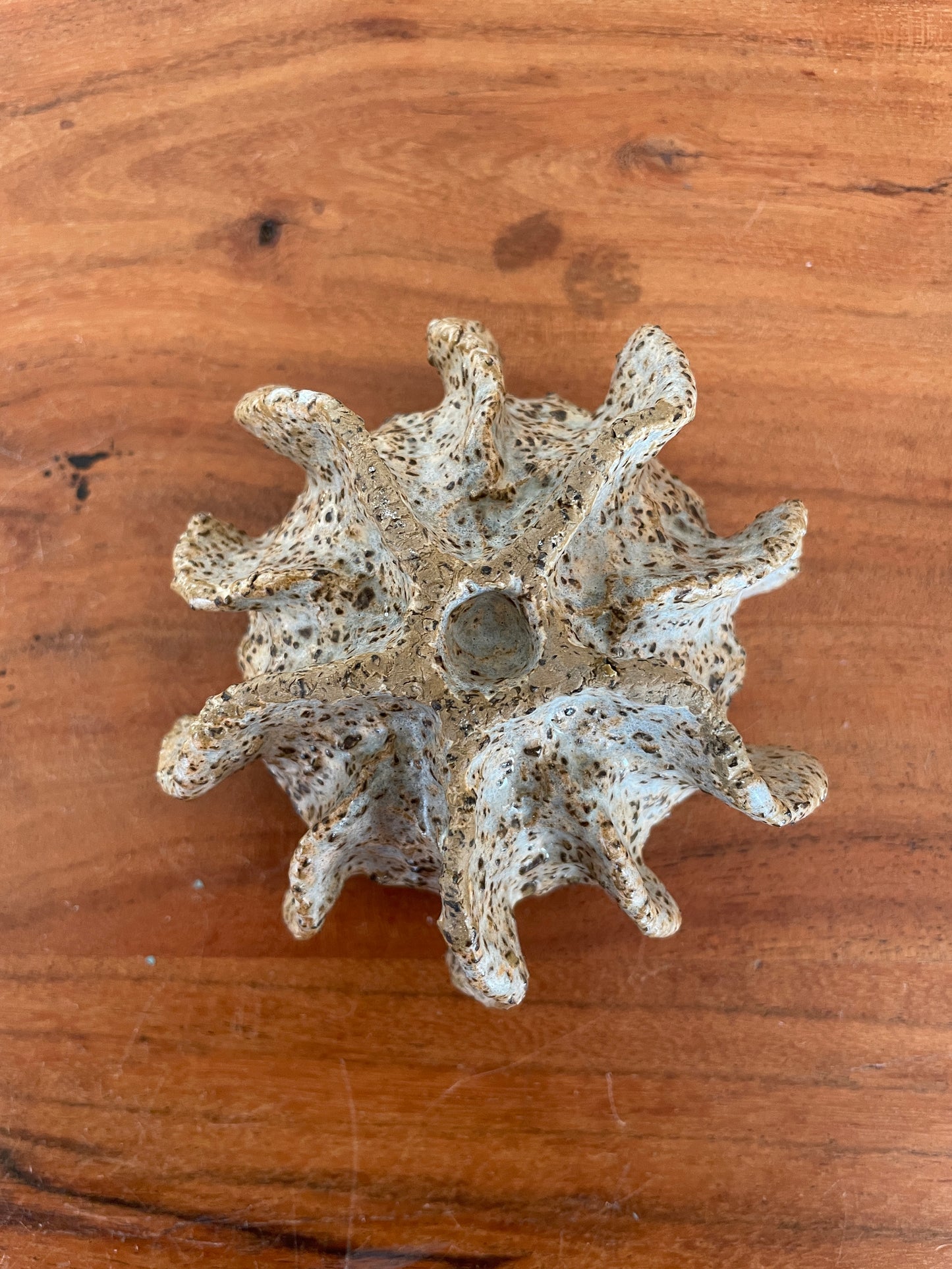 NYHEDER Kridthavs skål 0392