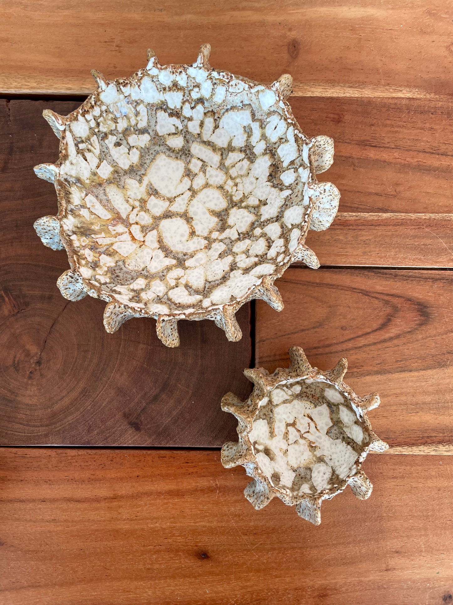 NYHEDER Kridthavs skål 0392