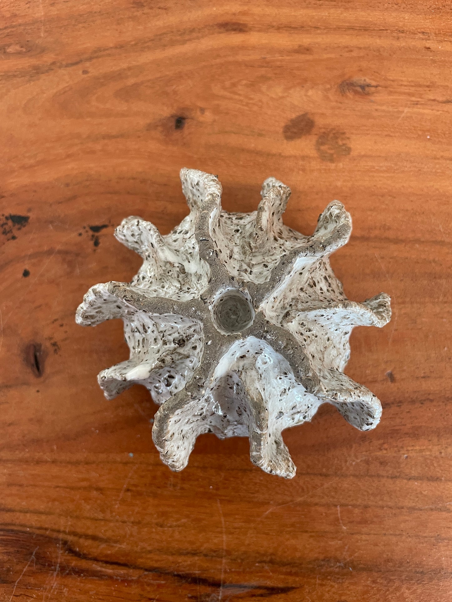 NYHEDER Kridthavs skål 0393