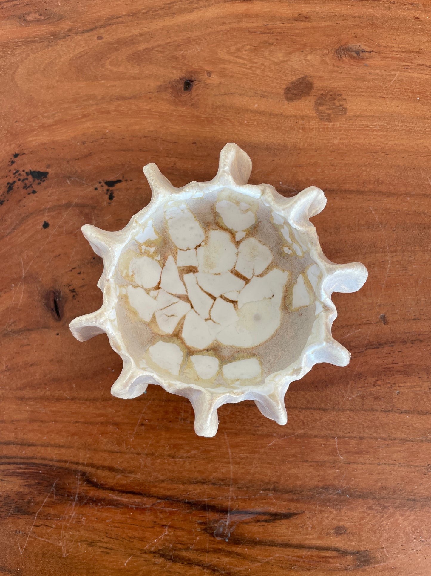 Nyheder Kridthavs skål 0394