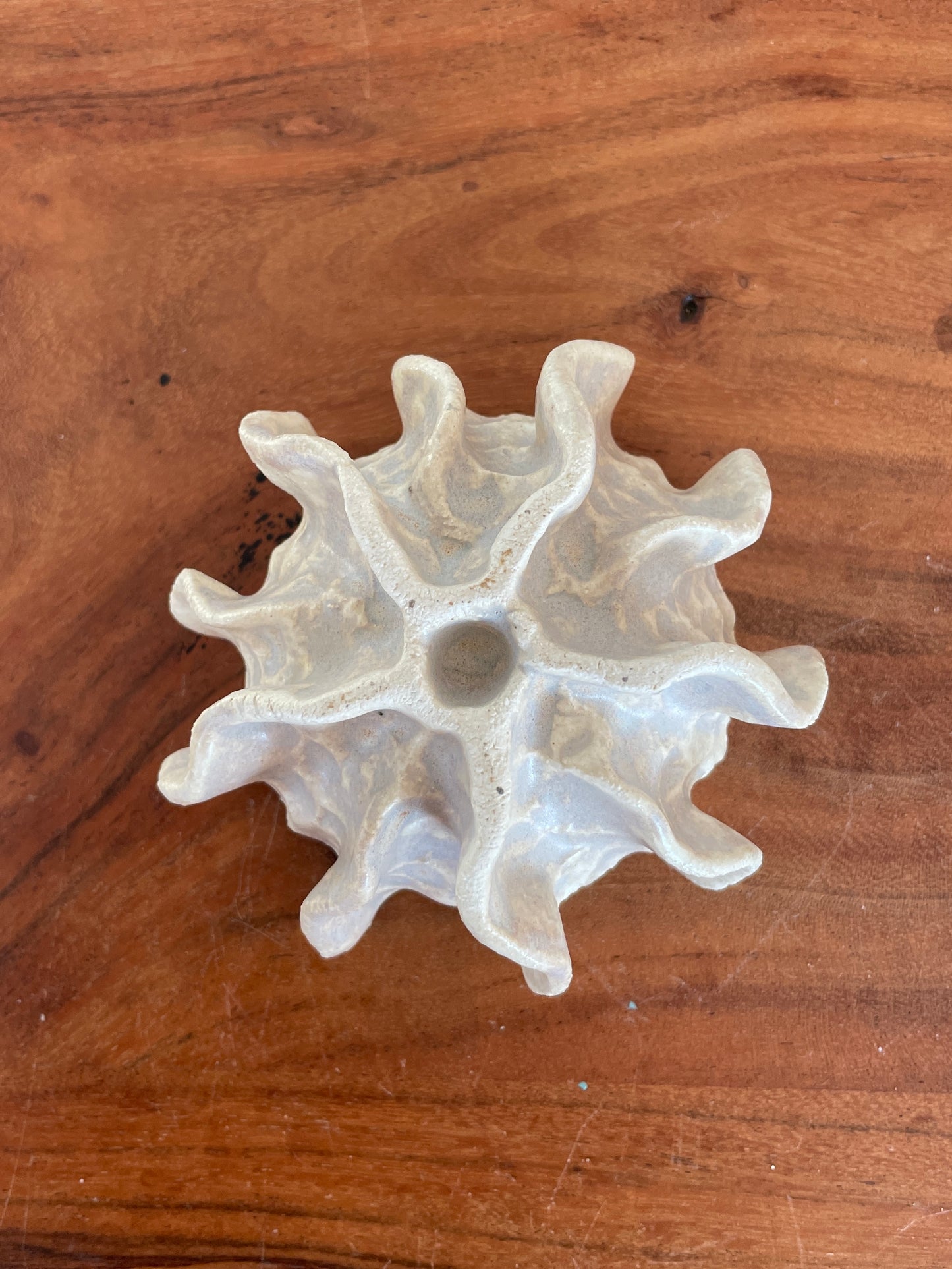 Nyheder Kridthavs skål 0394