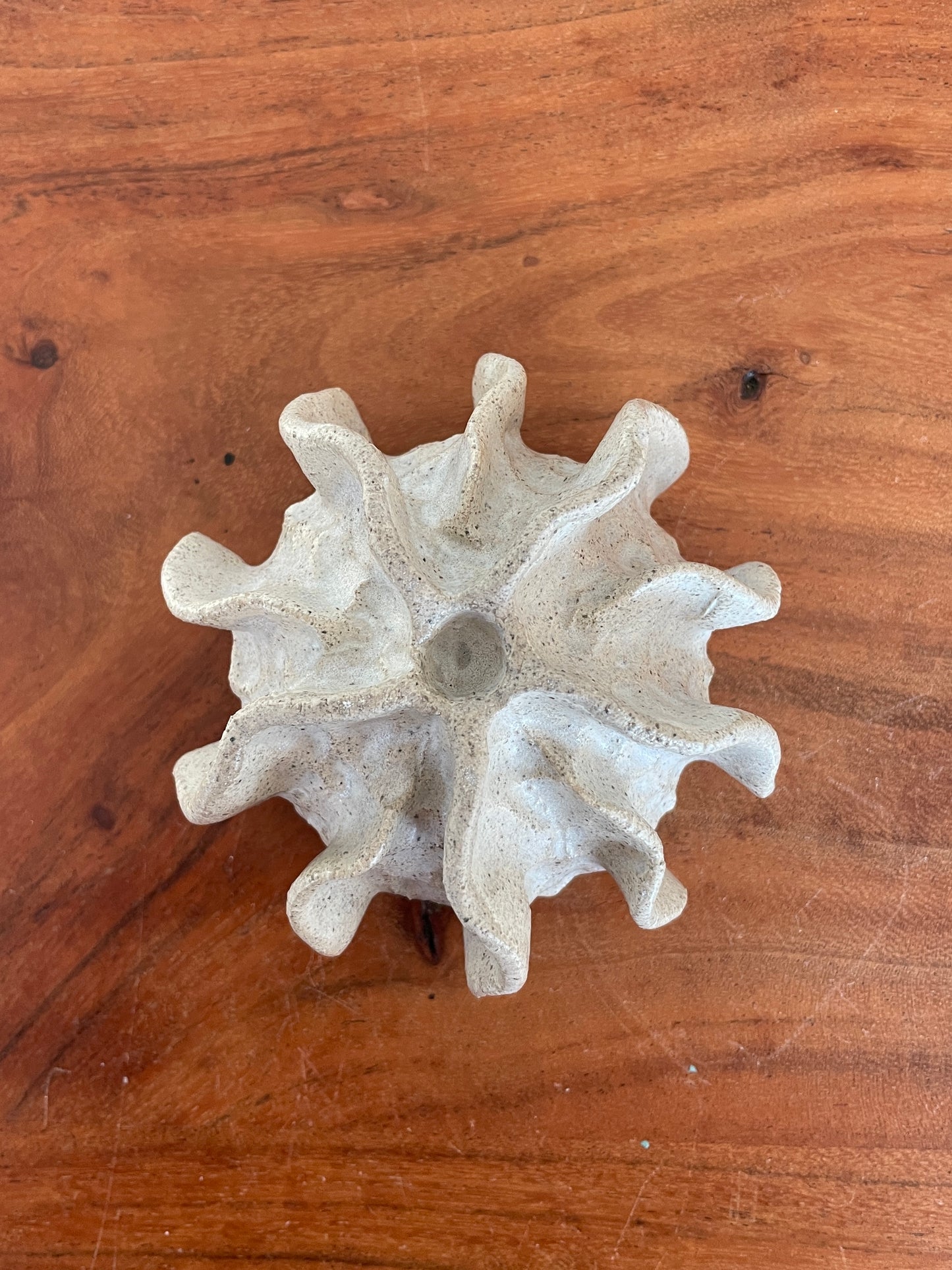 NYHEDER Kridthavs skål 0395