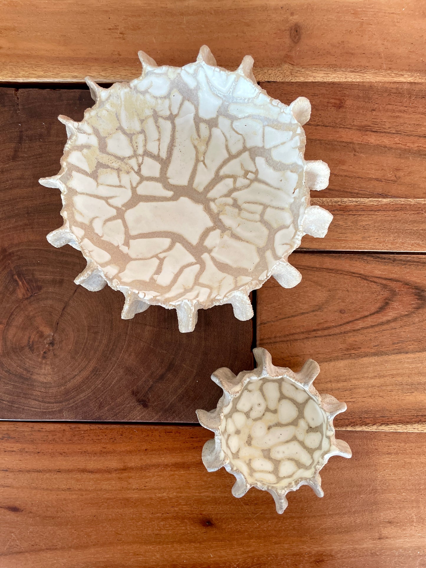 NYHEDER Kridthavs skål 0395