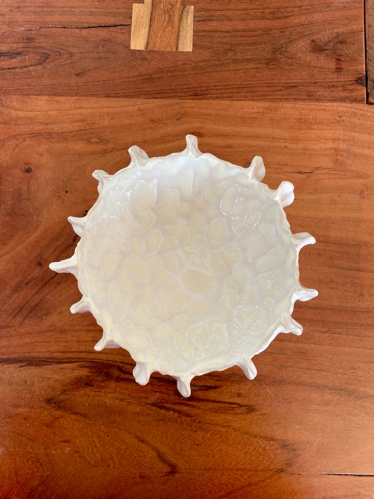 NEWS Kridthavs skål 0386