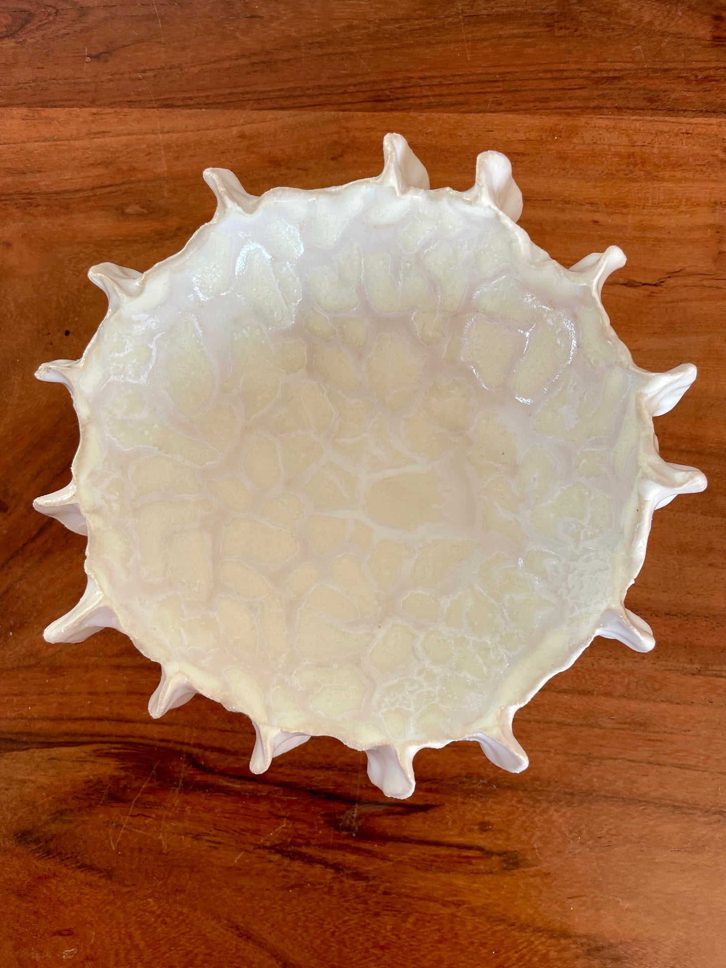 NEWS Kridthavs skål 0386