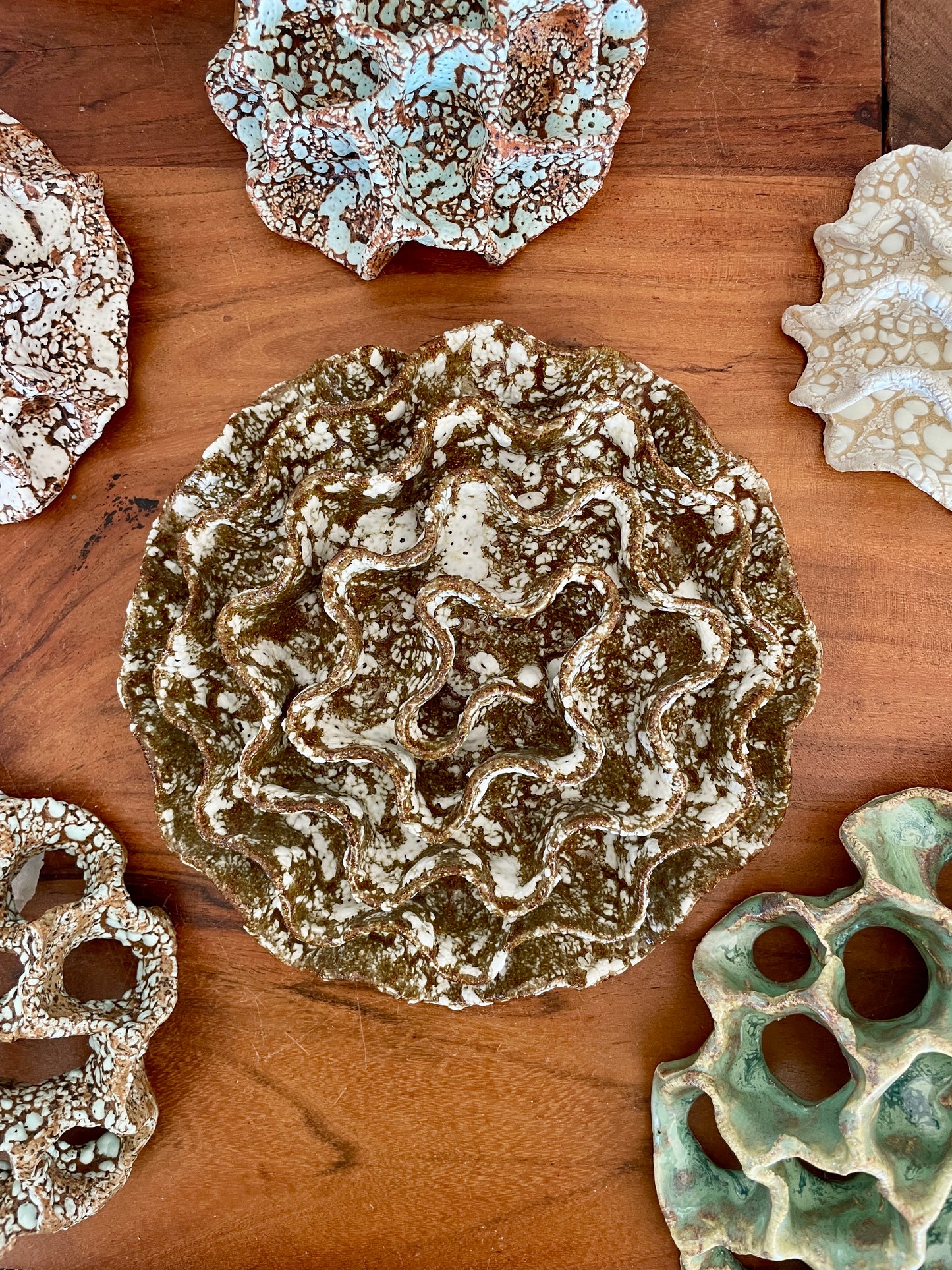 Wall coral 04415
