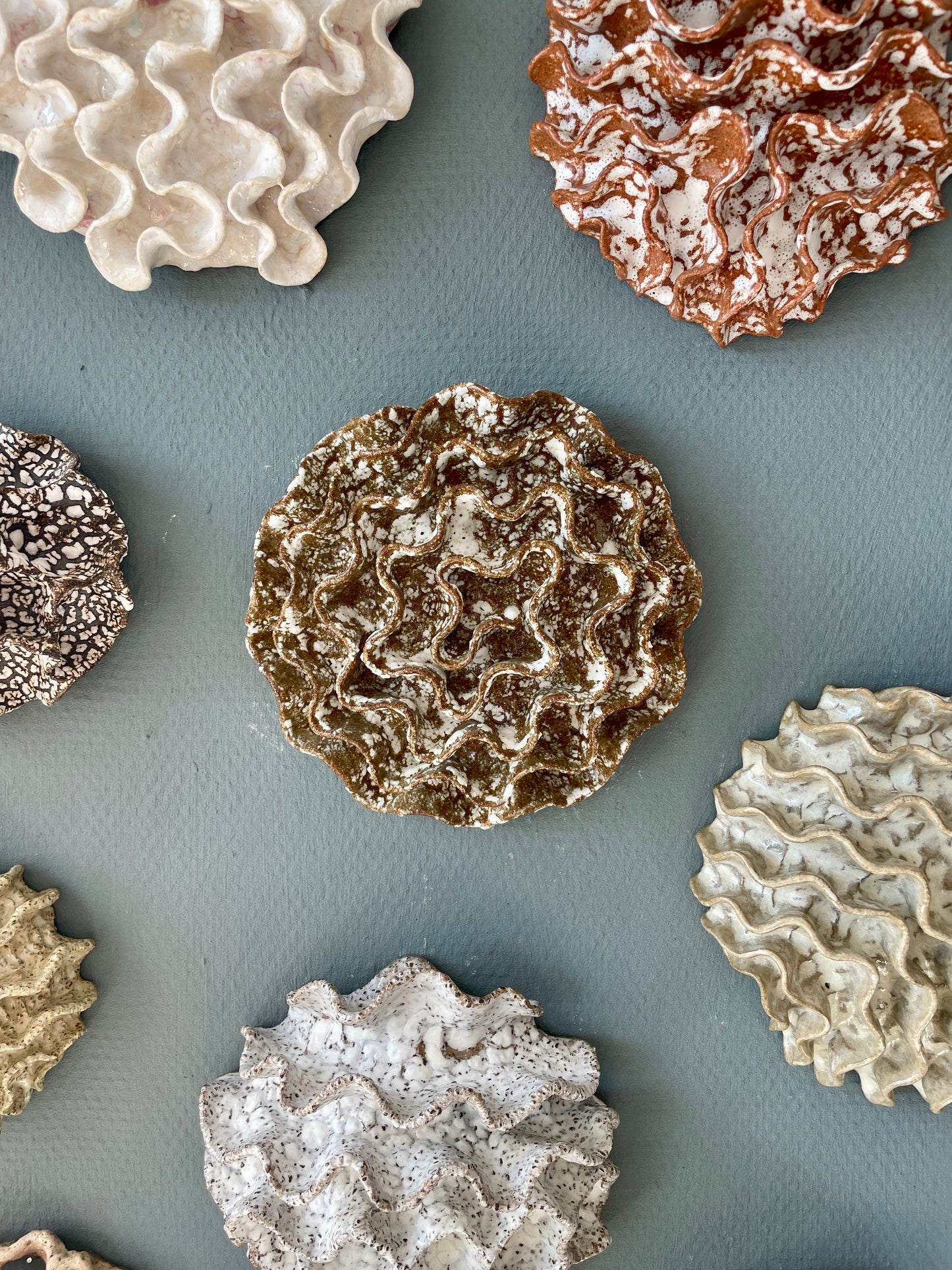 Wall coral 04415