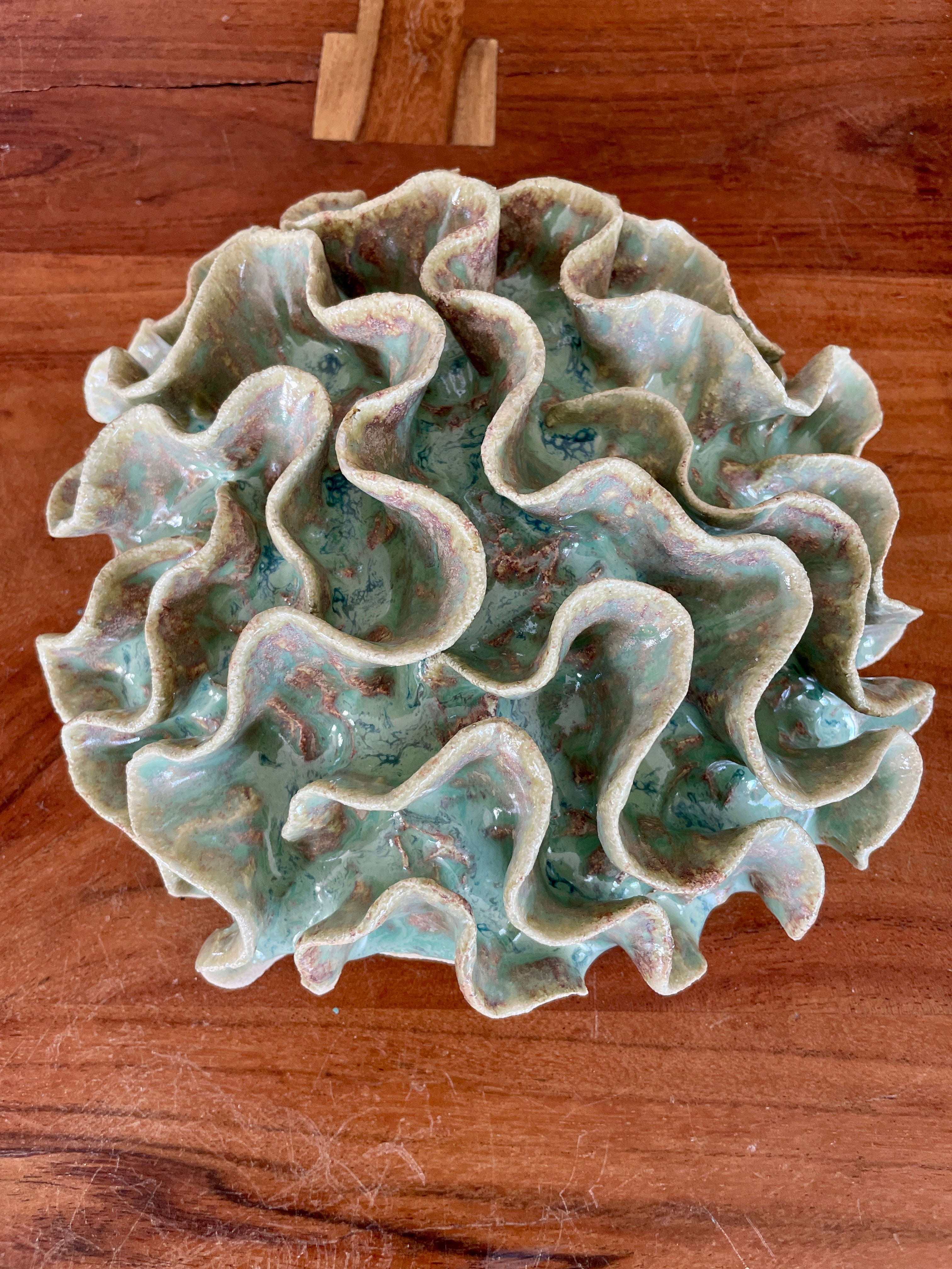 Wall coral 04429