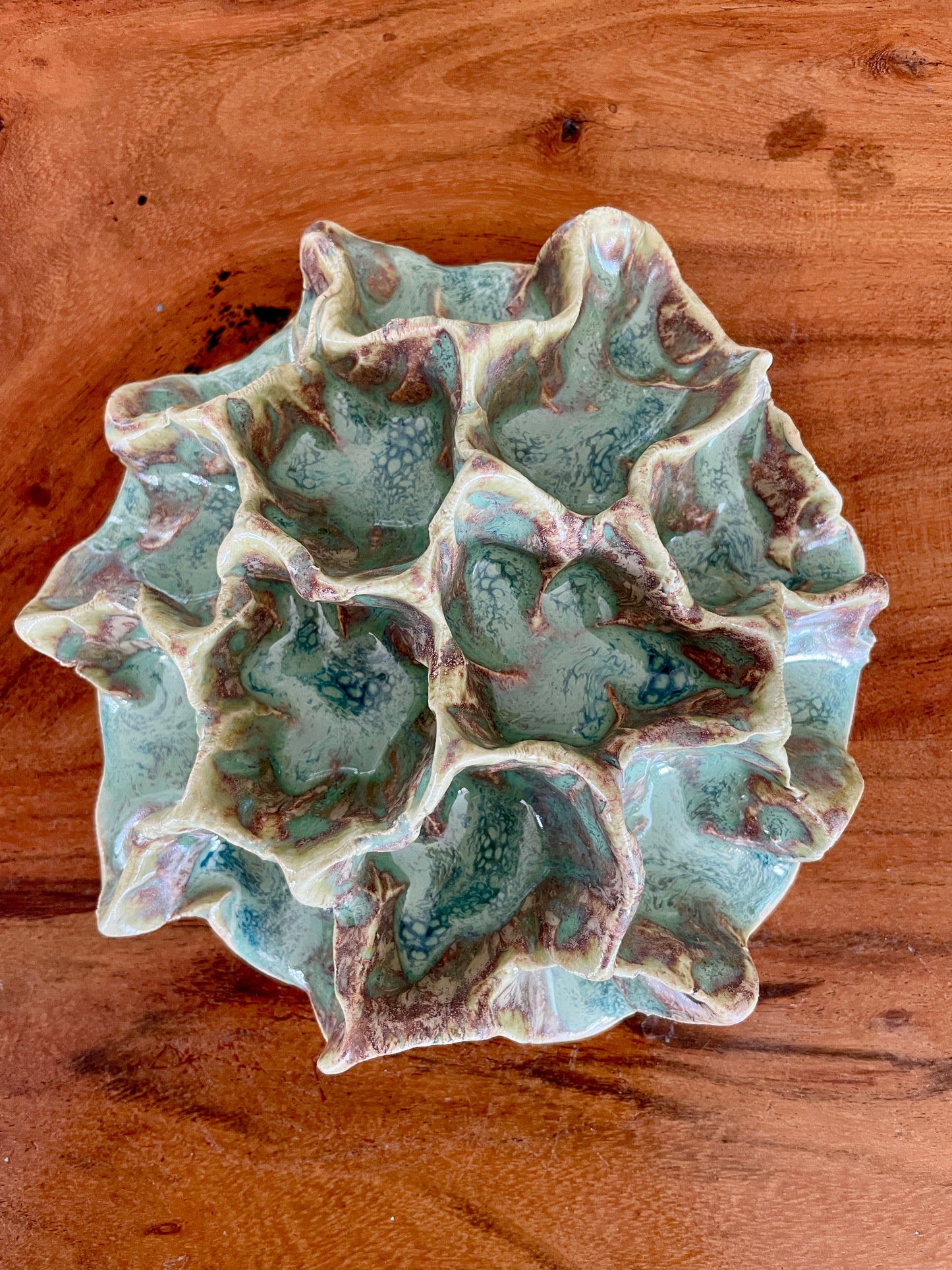 Wall coral 04432