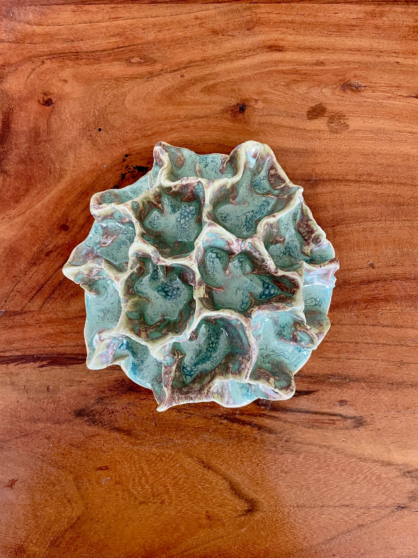 Wall coral 04432