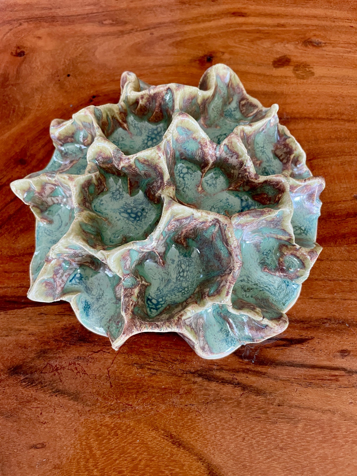 Wall coral 04432